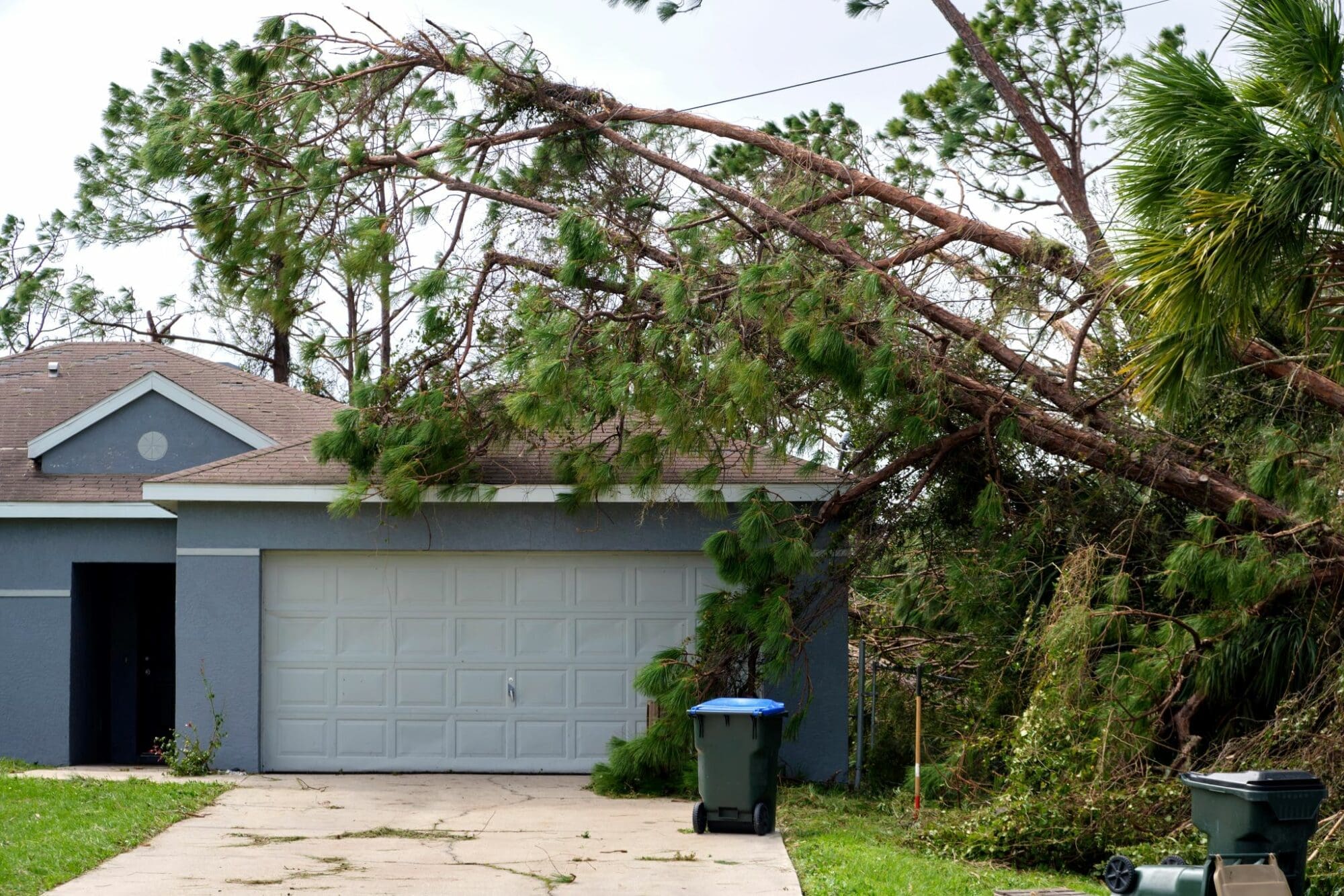 Picture of house with a tree fallen on roof
