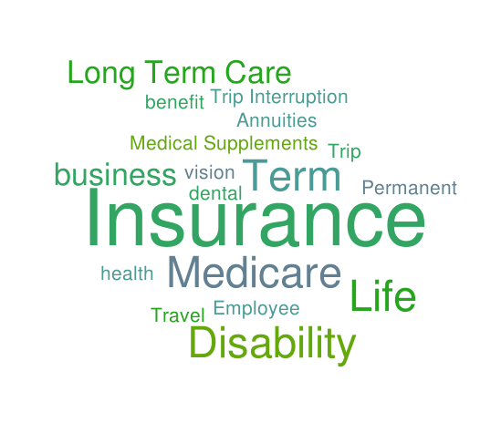 Life and Health Insurance Department Word Cloud