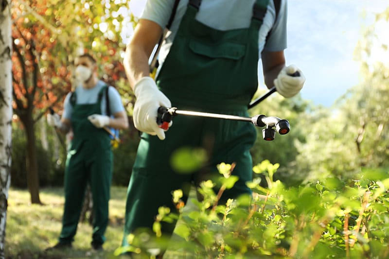 cyber liability insurance for landscapers